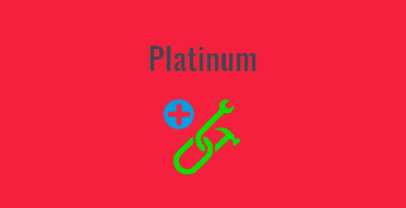 Serwis WordPress Platinum